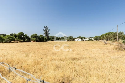 Quinta T3 para Venda em Bacelo e Senhora da Saúde