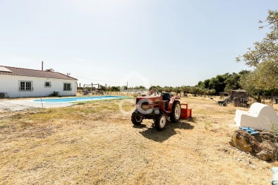 Quinta T3 para Venda em Bacelo e Senhora da Saúde