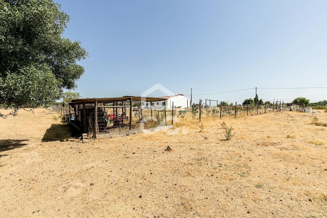 Quinta T3 para Venda em Bacelo e Senhora da Saúde Foto 42