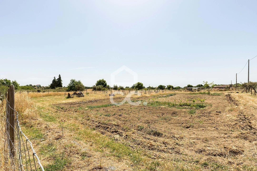 Quinta T3 para Venda em Bacelo e Senhora da Saúde Foto 56