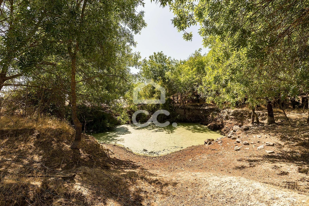Quinta T3 para Venda em Bacelo e Senhora da Saúde Foto 49