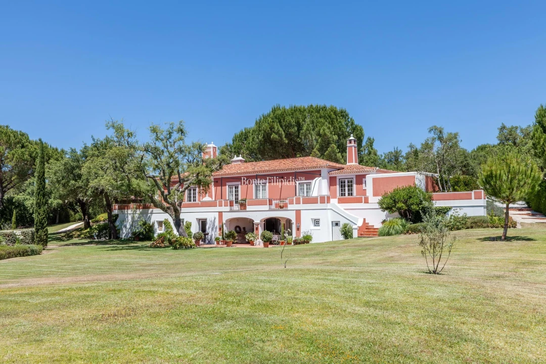 Quinta T5 para Venda em Santo Estêvão Foto 42