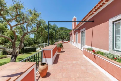 Quinta T5 para Venda em Santo Estêvão