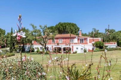 Quinta T5 para Venda em Santo Estêvão