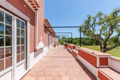 Quinta T5 para Venda em Santo Estêvão