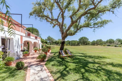 Quinta T5 para Venda em Santo Estêvão