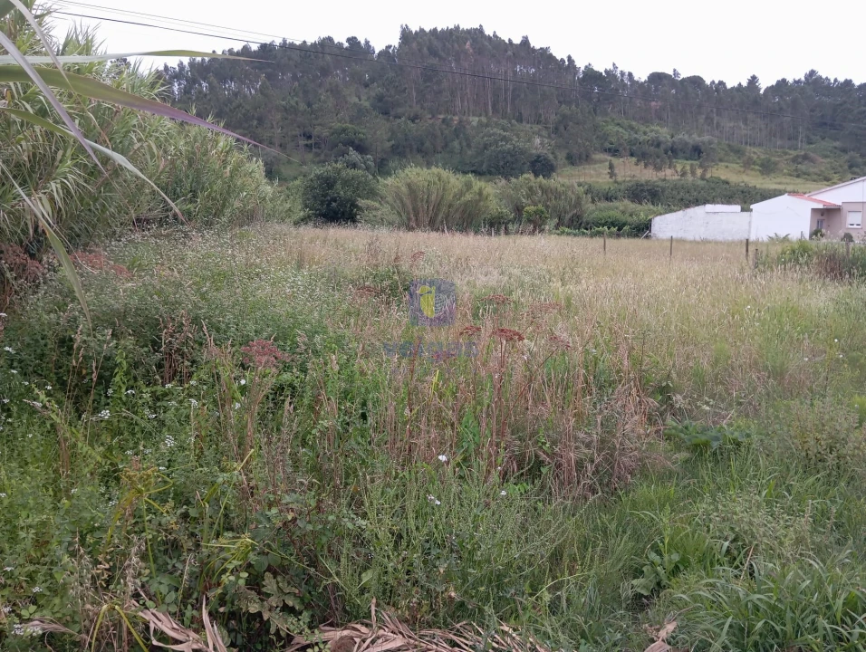 Terreno para Venda em Salir de Matos Foto 1