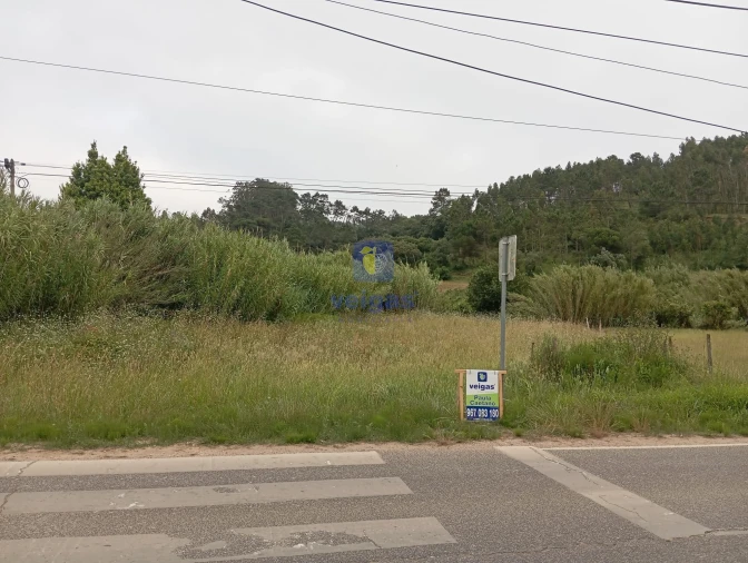 Terreno para Venda em Salir de Matos Foto 7