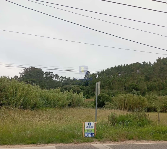 Terreno para Venda em Salir de Matos Foto 9