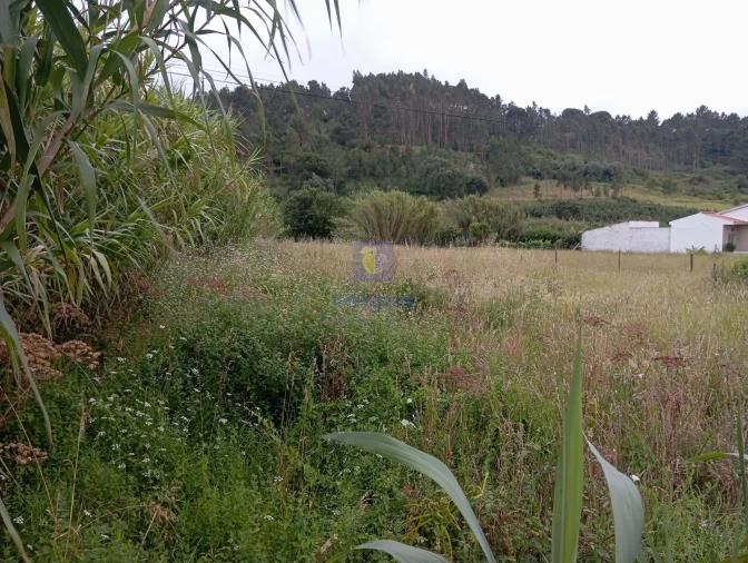 Terreno para Venda em Salir de Matos Foto 4