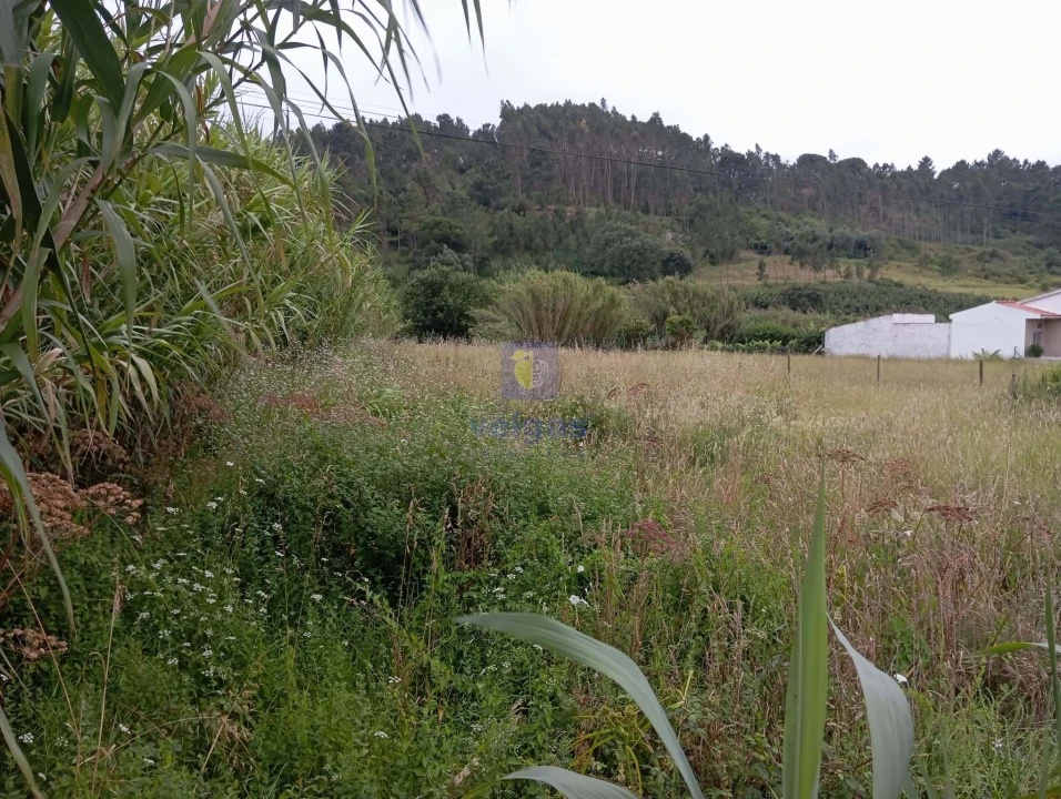 Terreno para Venda em Salir de Matos Foto 4