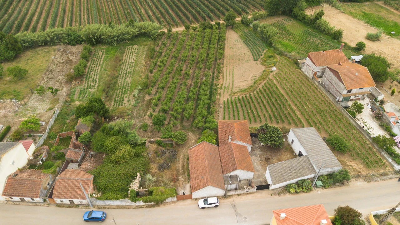 Terreno para Venda em Carvalhal Foto 2
