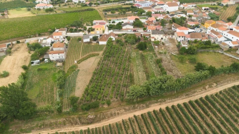 Terreno para Venda em Carvalhal