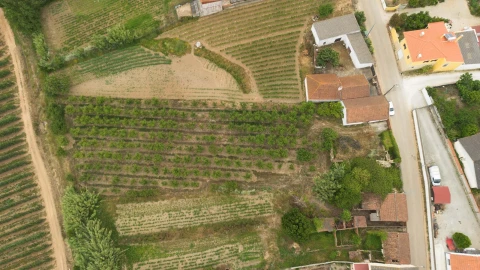 Terreno para Venda em Carvalhal