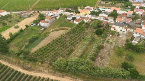 Terreno para Venda em Carvalhal