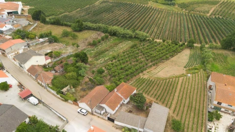 Terreno para Venda em Carvalhal