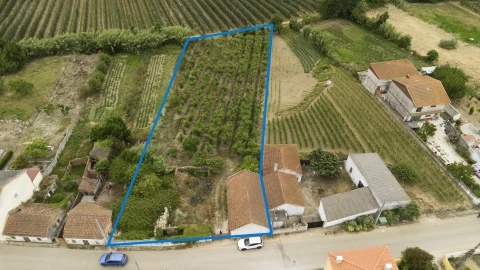 Terreno para Venda em Carvalhal