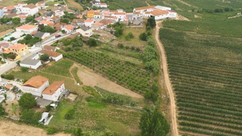 Terreno para Venda em Carvalhal
