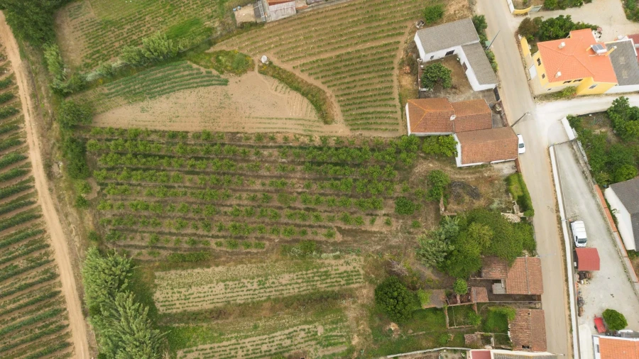 Terreno para Venda em Carvalhal Foto 11