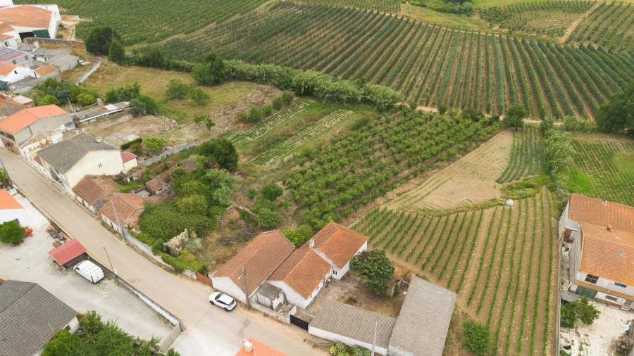 Terreno para Venda em Carvalhal Foto 5