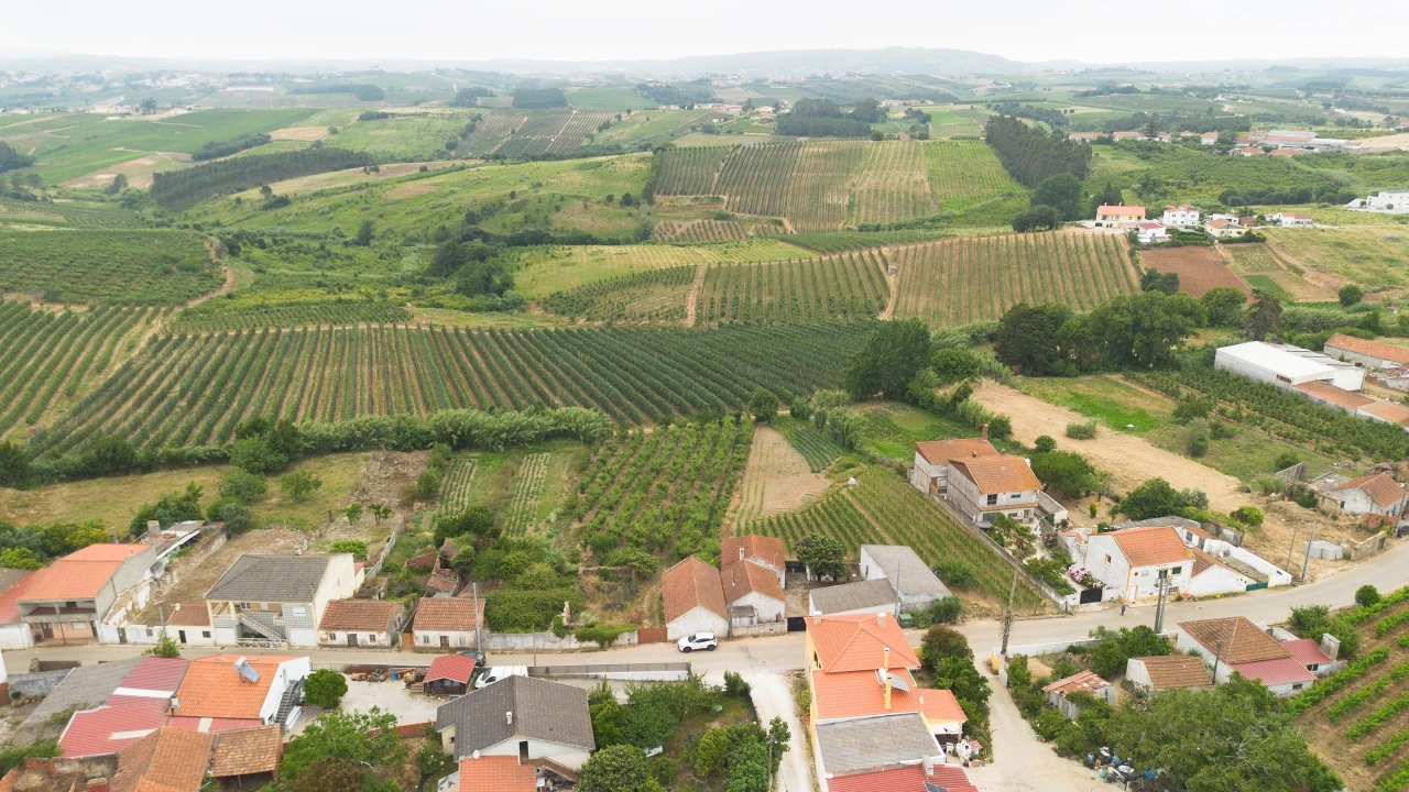Terreno para Venda em Carvalhal Foto 4
