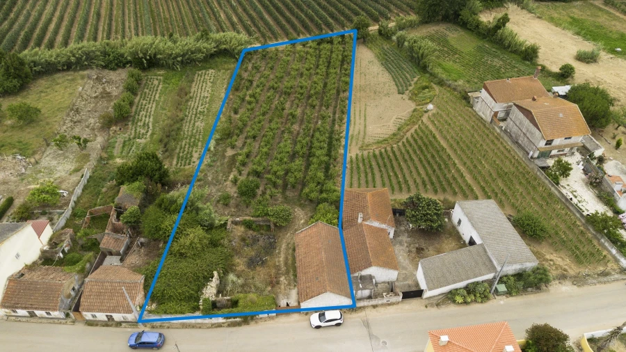 Terreno para Venda em Carvalhal