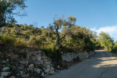 Terreno para Venda em Loule (São Clemente)