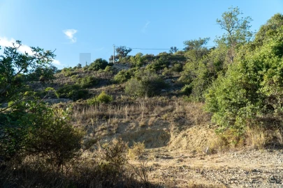 Terreno para Venda em Loule (São Clemente)