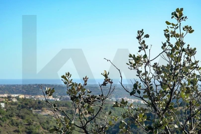 Terreno para Venda em Loule (São Clemente)
