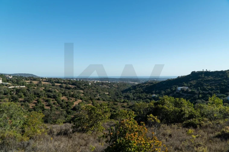 Terreno para Venda em Loule (São Clemente) Foto 23