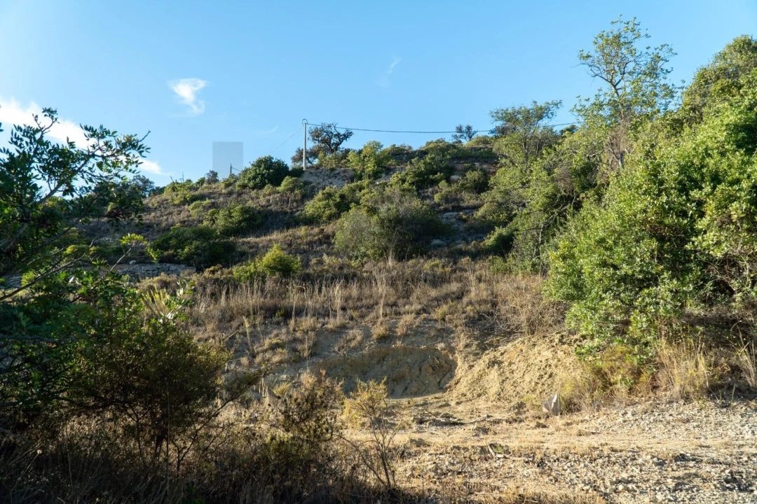 Terreno para Venda em Loule (São Clemente) Foto 27