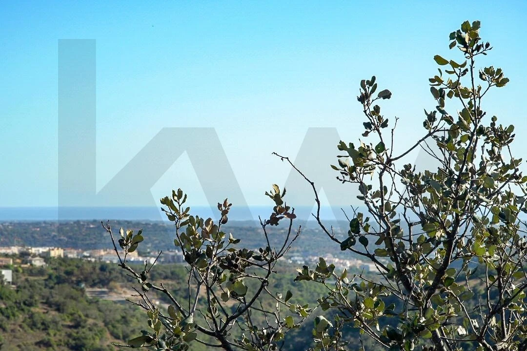 Terreno para Venda em Loule (São Clemente) Foto 6