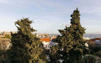 Apartamento T4 para Venda em Estrela