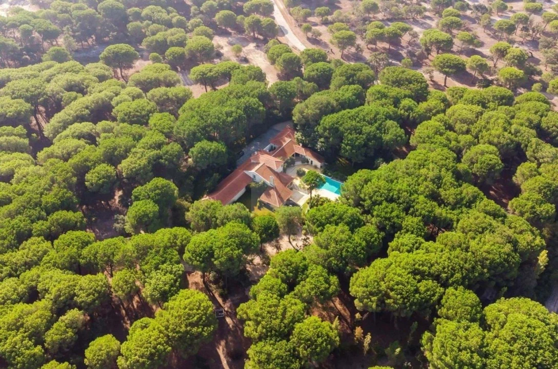 Moradia T5 para Venda em Benavente Foto 43
