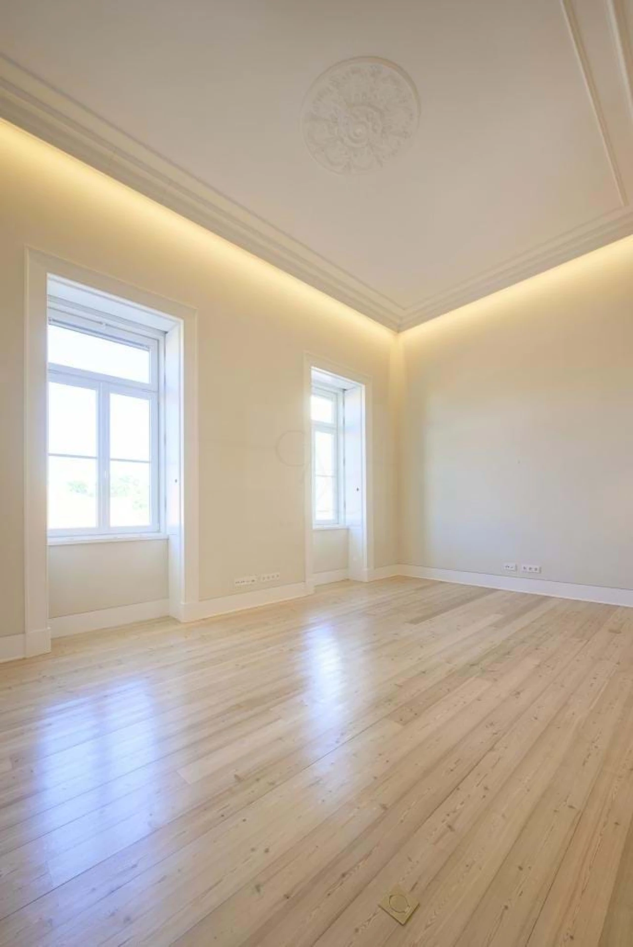 Apartamento T1 para Venda em Santo António Foto 9