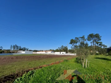 Terreno para Venda em Vermoil