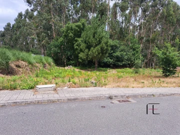 Terreno para Venda em Coronado (São Romão e São Mamede)
