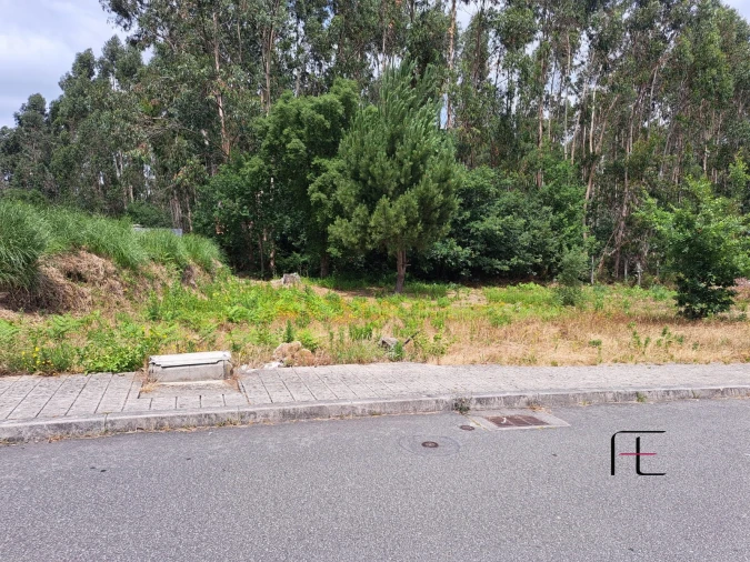 Terreno para Venda em Coronado (São Romão e São Mamede) Foto 2