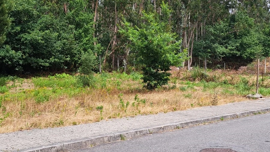 Terreno para Venda em Coronado (São Romão e São Mamede)