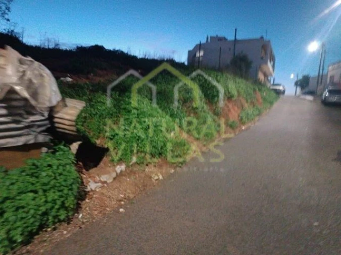Terreno para Venda em Faro (Sé e São Pedro) Foto 3