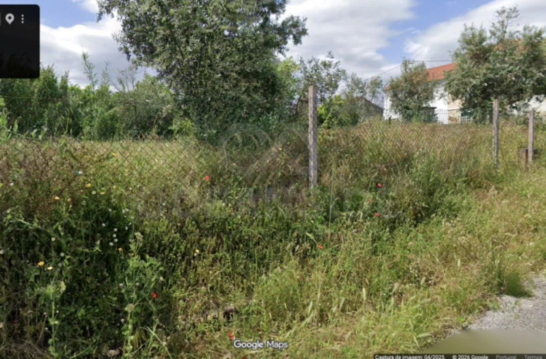 Quinta T2 para Venda em Alvega e Concavada Foto 3