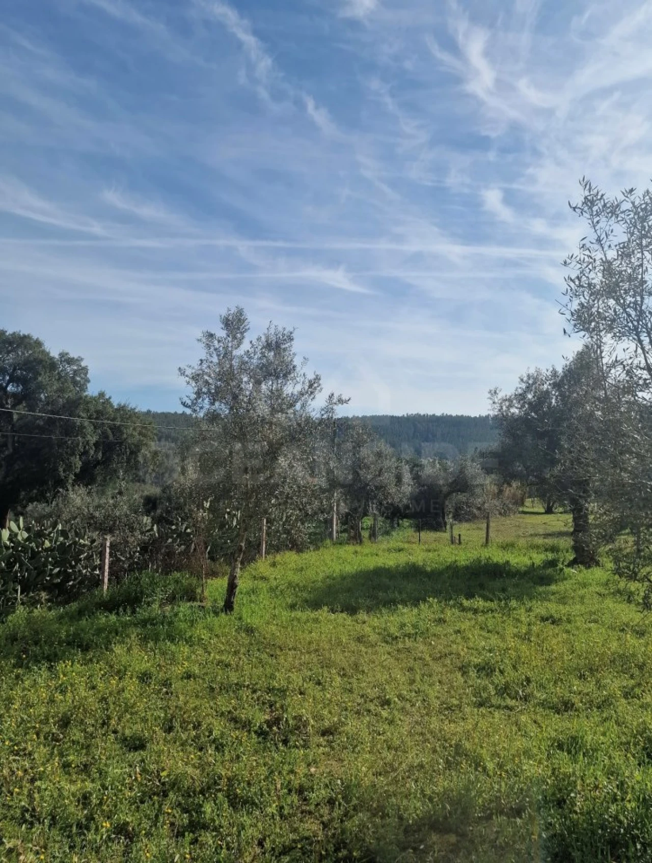 Quinta T2 para Venda em Alvega e Concavada Foto 4