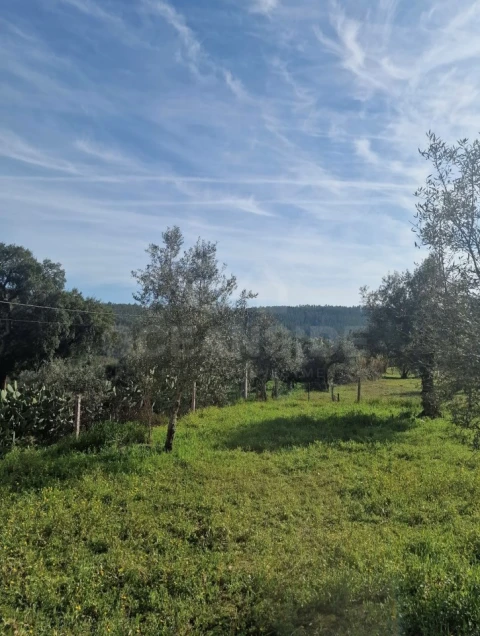 Quinta T2 para Venda em Alvega e Concavada