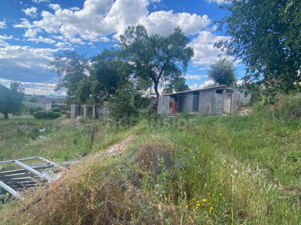 Quinta T1 para Venda em Castelo Branco Foto 3