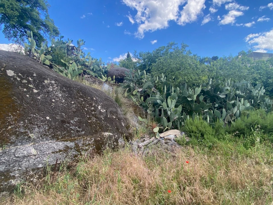 Quinta T1 para Venda em Castelo Branco Foto 4