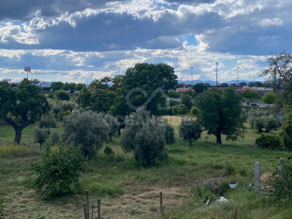 Quinta T1 para Venda em Castelo Branco Foto 5