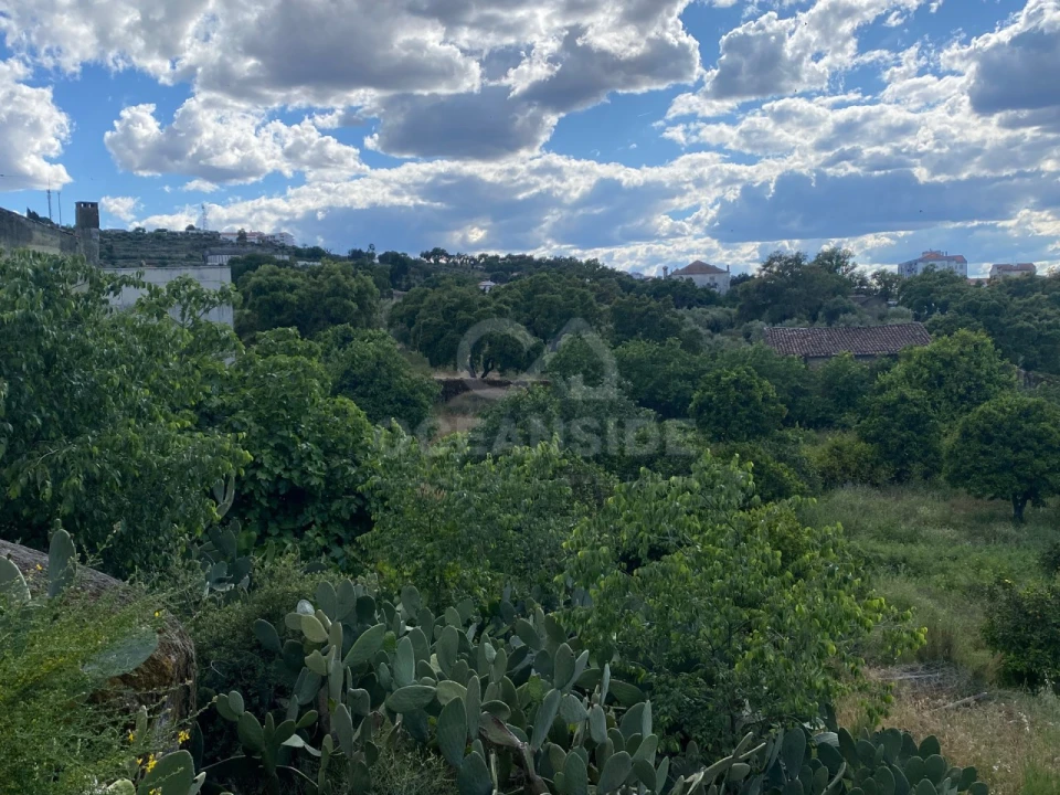 Quinta T1 para Venda em Castelo Branco Foto 6