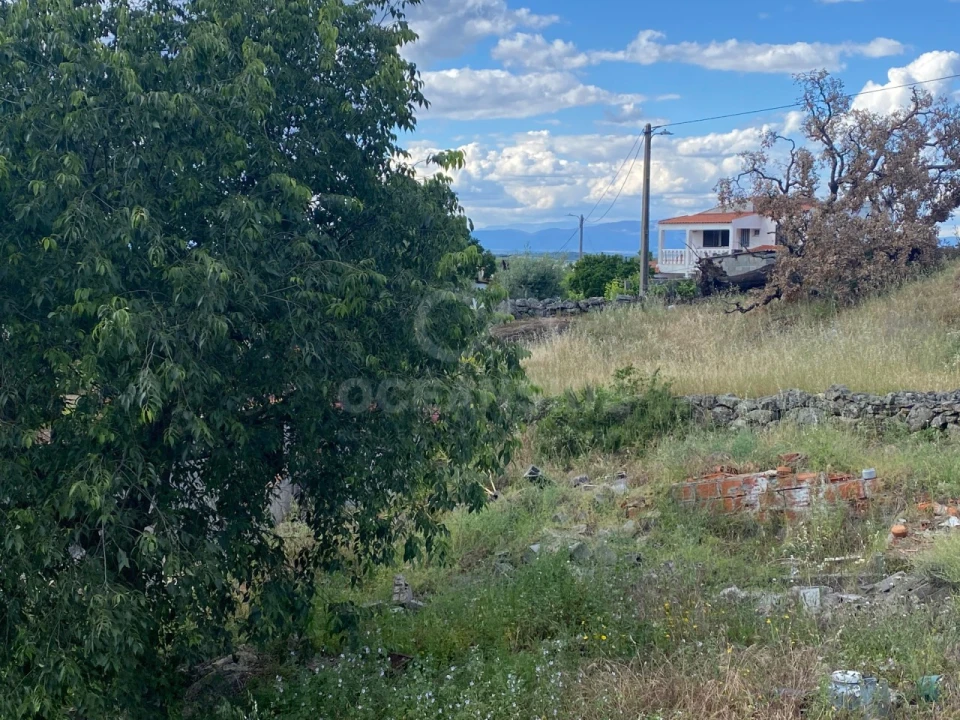 Quinta T1 para Venda em Castelo Branco Foto 7