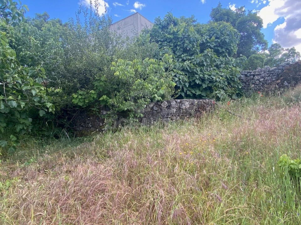 Quinta T1 para Venda em Castelo Branco Foto 12