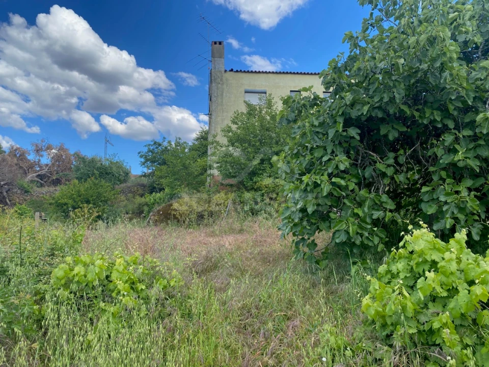 Quinta T1 para Venda em Castelo Branco Foto 1